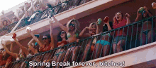Spring Breakers Spring Break Forever Bitches GIF - Spring Breakers Spring Break Spring Break Forever Bitches GIFs