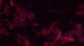 a close up of a pink haired anime girl 's face with a black background .