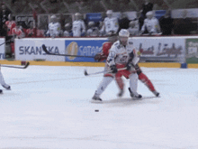a hockey game is being played in front of a sign that says skanka