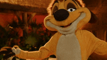 Timon The Lion King Disneyland GIF - Timon The Lion King Disneyland Mascot Costume GIFs