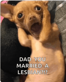 a picture of a dog with the words dad you married a lesbian on it
