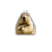 a squirrel is holding a cup of coffee with a loading bar above its head