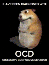 Diagnosed Hamster Ocd GIF