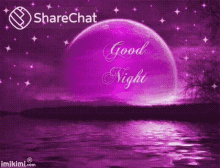 Good Night Purple Moon GIF - Good Night Purple Moon Stars GIFs