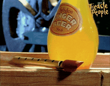 a bottle of sander 's ginger beer sits on a wooden table