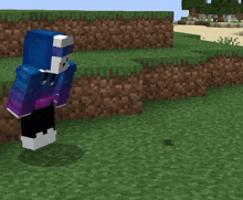 a person in a blue and purple hoodie is standing in a minecraft game