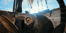 a cartoon cat with big orange eyes is sitting on a wooden surface