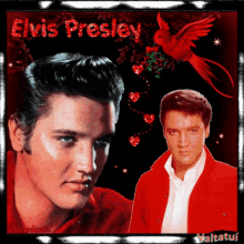 Elvis Valtatui Elvis Presley GIF - Elvis Valtatui Elvis Presley Handsome GIFs