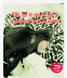 Balls Licking Lips GIF - Balls Licking Lips Meat GIFs