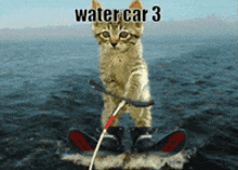 a cat is riding a water car on the water