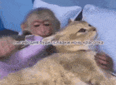 a monkey is petting a cat in a bed with russian writing on the bottom