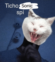 Ticho Tichosonicspi GIF - Ticho Tichosonicspi GIFs