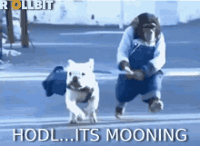 Hodl Hold GIF - Hodl Hold Mooning GIFs