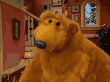 Bear Confused GIF - Bear Confused Shocked GIFs