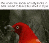 anxiety leaving social anti social escape
