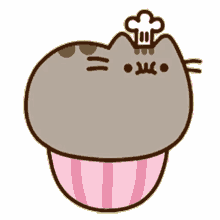 pusheen gave up rest chef wanna go out