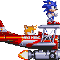sonic the hedgehog is standing on top of a red sonic plane