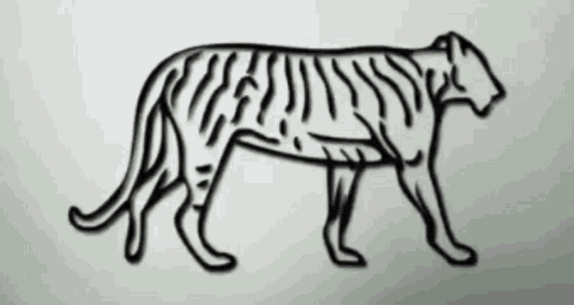 शेर कैसे बनाएं | How to draw a lion | sher banane ka aasan tarika | easy  lion drawing | Lion drawing - YouTube