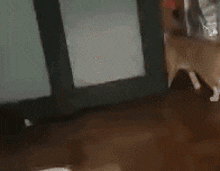 Cat Jump Into The Void GIF - Cat Jump Into The Void Cat GIFs