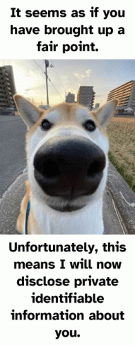 Dog Meme Dog Face Meme GIF - Dog Meme Dog Face Meme Dog Meme Face ...