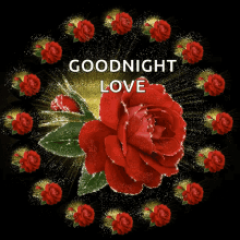 Good Night Flowers GIF - Good Night Flowers Sparkles GIFs