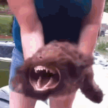 GIF