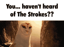 The Strokes The Strokes Meme GIF - The Strokes The Strokes Meme The Strokes Memes GIFs