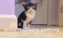Good Morning Good Morning Gaming Server GIF
