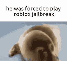He Was Forced To Roblox GIF