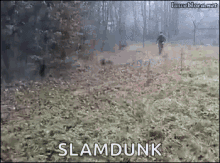 Slam Dunk Funny Animals GIF