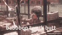 Baboon Twerk GIF - Baboon Twerk Twerking GIFs
