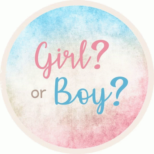 Boy Or Girl GIF - Boy Or Girl - Discover & Share GIFs