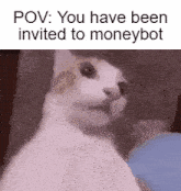 You Have Been Invited To Moneybot Moneybotcash GIF - You Have Been Invited To Moneybot Moneybot Moneybotcash GIFs