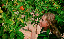 Mamma Mia Oranges GIF - Mamma Mia Oranges Orange GIFs
