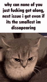 why can none of you just fucking get along next issue i get even if it 's the smallest im disapearing