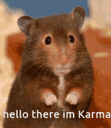 Hello There Im Karma GIF - Hello There Im Karma GIFs