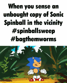Spinballsweep Bagthemworms GIF - Spinballsweep Bagthemworms Sonic Frontiers GIFs
