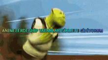 shrek from the movie shrek is running with the words animelerde ship yapanlari sikmeye gidiyorum
