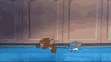 Tom And Jerry Nibblet GIF - Tom And Jerry Nibblet Cat GIFs