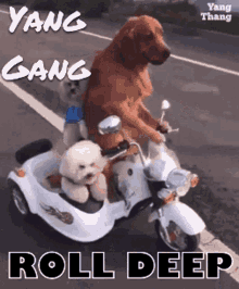 Yang Gang Yang Gang Roll Deep GIF - Yang Gang Yang Gang Roll Deep Yang Gang Love GIFs