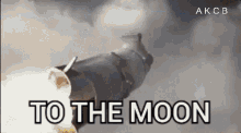 Moon Rocket GIF - Moon Rocket Akidcalledbeast GIFs