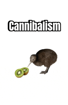 a kiwi eating a slice of kiwi with the word cannibalism on the bottom