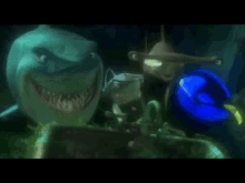 Rekiny Nemo GIF - Rekiny Nemo Co Ty Powiesz GIFs