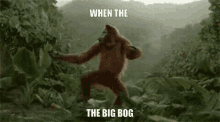 Big Bog GIF - Big Bog GIFs