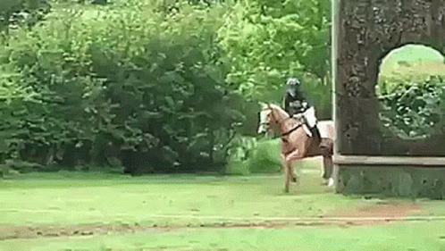 funny horse riding pictures