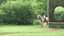 Horse Riding GIF