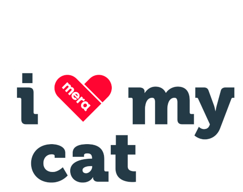 Love Cat Sticker - Love Cat Dog Stickers