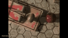 Mousehunt 1997 GIF - Mousehunt 1997 Dreamworks GIFs