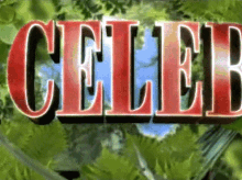 Im A Celebrity Get Me Out Of Here Logo GIF - Im A Celebrity Get Me Out Of Here Im A Celebrity Get Me Out Of Here GIFs
