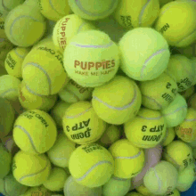 Dog Tennis Balls GIF - Dog Tennis Balls Happy GIFs
